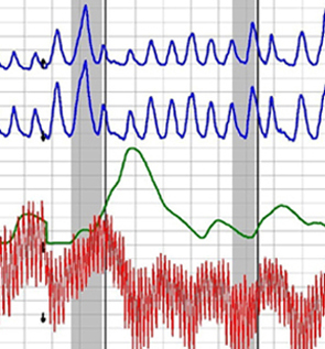 Palmdale polygraph test near me